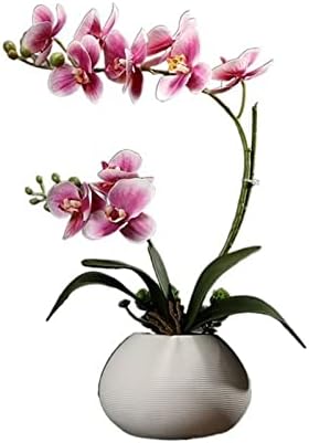 Artificial Phalaenopsis Flower for Home Decoration