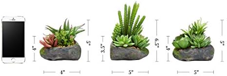 Pure Garden Artificial Succulent Plants 3-Piece Set