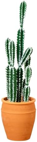 Nearly Natural 41in Artificial Cactus in Terracotta Planter