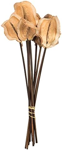 Vickerman Frogs Mouth Artificial Flowers 9PK