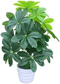 Realistic Artificial Plants for Home Decor