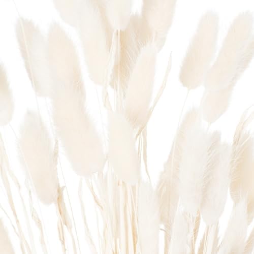 Bunny Tail Artificial Flower Set of 60 White