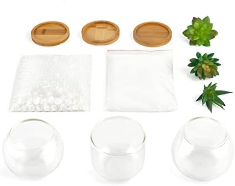 Mkono Artificial Succulent Plants 2 Pack in Glass and Farmhouse Pots