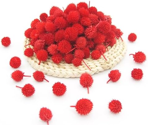 JOJAZE 100 Pcs Dried Flower Heads for Crafts Red Globe Dried Flowers