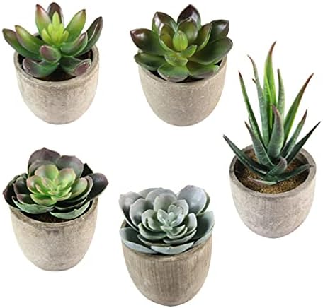 5pcs Artificial Succulent Plants Decorative Faux Plants