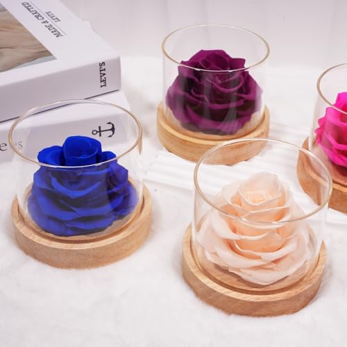 MODCON Home Scent Rose Real Fragrance Lasts 4 Months Gift for Her