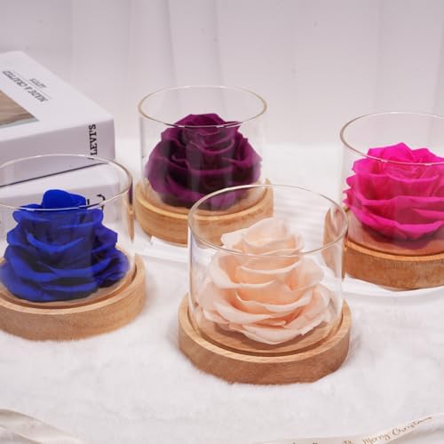 MODCON Home Scent Rose Real Fragrance Lasts 4 Months Gift for Her