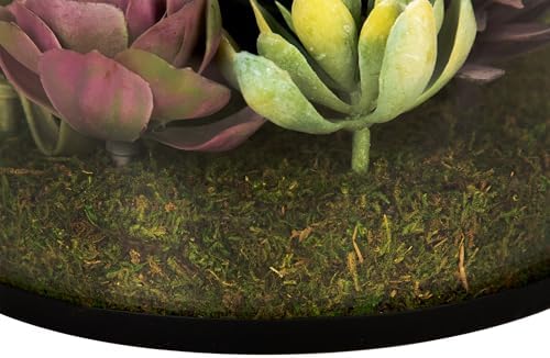 Northlight Artificial Mixed Succulent in 8 Round Glass Jar Green