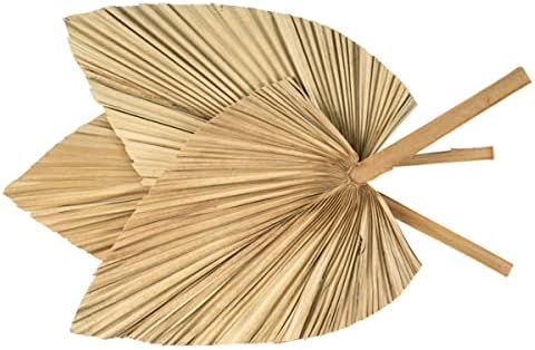Palm Spears 4PCS Dried Natural Plant Decor