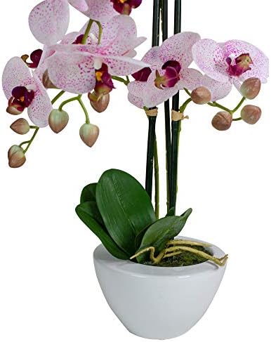Northlight Artificial Orchid Plant in White Pot 21 Inch Pink