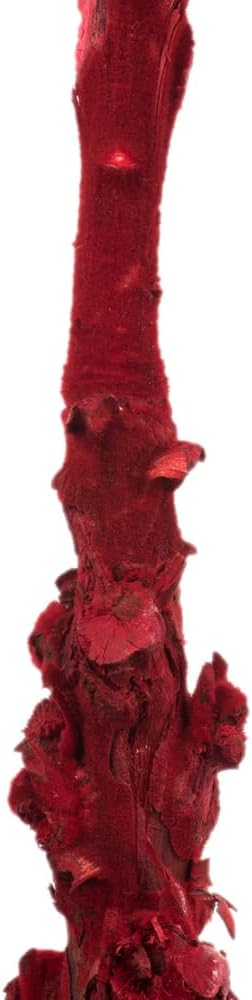 Vickerman 8 Inch Dried Red Queen Flower