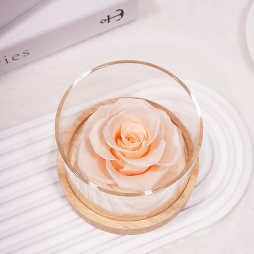 MODCON Home Scent Rose Real Fragrance Lasts 4 Months Gift for Her