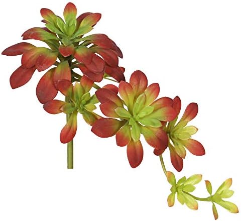 Vickerman 7 Inch Artificial Aeonium Spray Burgundy Green