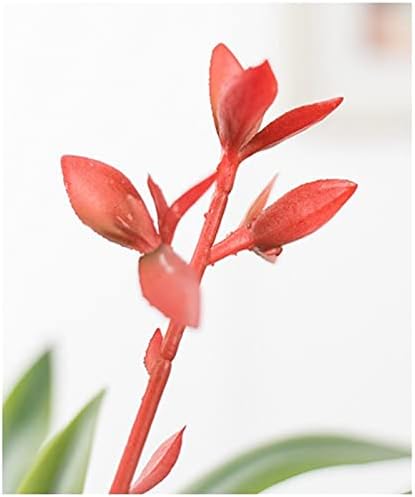 Realistic Artificial Potted Plants for Home and Office