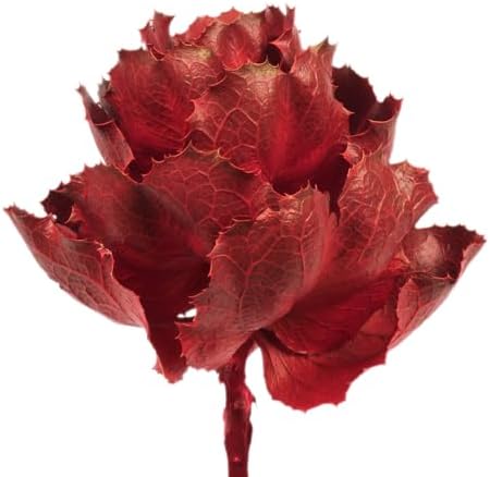 Vickerman 8 Inch Dried Red Queen Flower