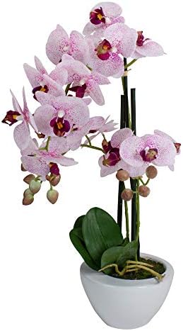 Northlight Artificial Orchid Plant in White Pot 21 Inch Pink