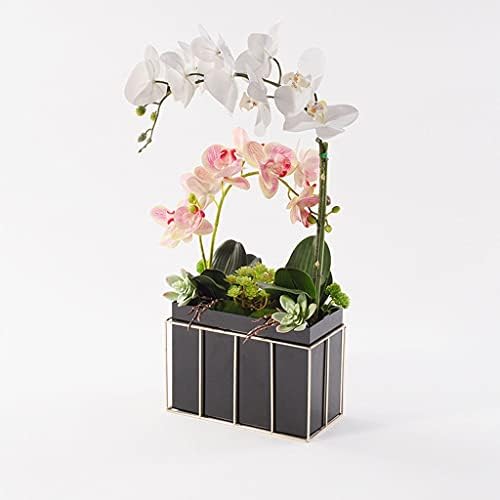 Artificial Phalaenopsis Bouquet with Glass Vase for Home and Office