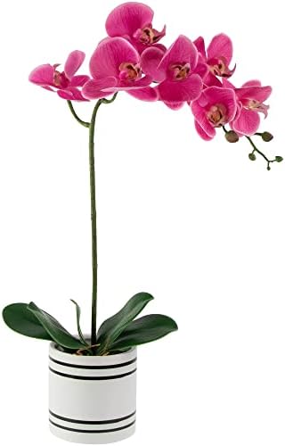 Northlight Real Touch Artificial Spring Orchids 2 Feet Pink