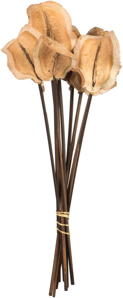Vickerman Frogs Mouth Artificial Flowers 9PK