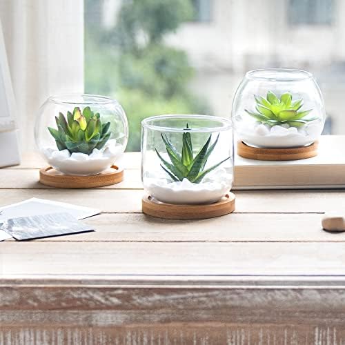 Mkono Artificial Succulent in Clear Glass Pot