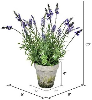 Vickerman 20 Inch Artificial Lavender Cement Pot Decor