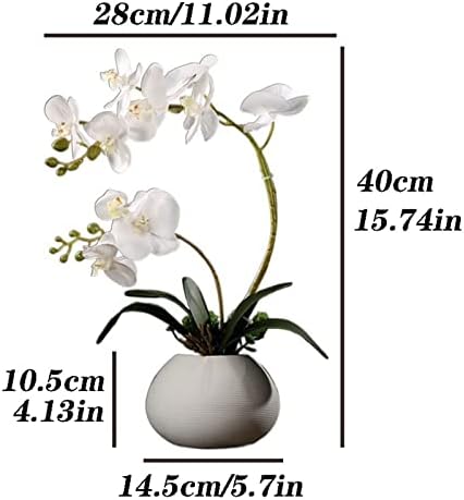 Artificial Phalaenopsis Flower for Home Decoration