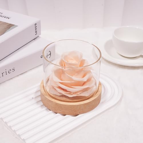 MODCON Home Scent Rose Real Fragrance Lasts 4 Months Gift for Her