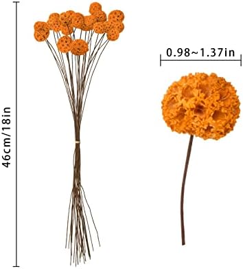 24 PCS Dried Billy Balls Flowers Orange Bouquet