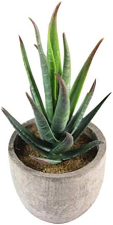 5pcs Artificial Succulent Plants Decorative Faux Plants