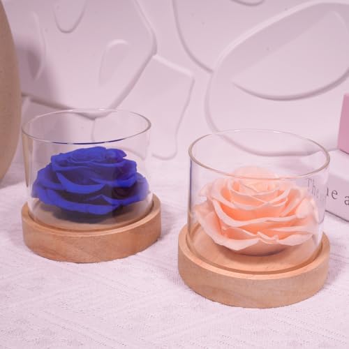 MODCON Real Fragrance Roses Last 4 Months Gift for Women