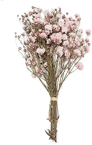 JONJUMP Dried Flowers Mini Bouquets Artificial Flower Decoration