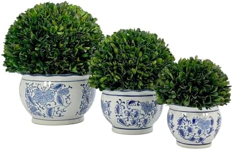 Galt International 7 Inch Preserved Boxwood Ball in Blue White Pot Planter