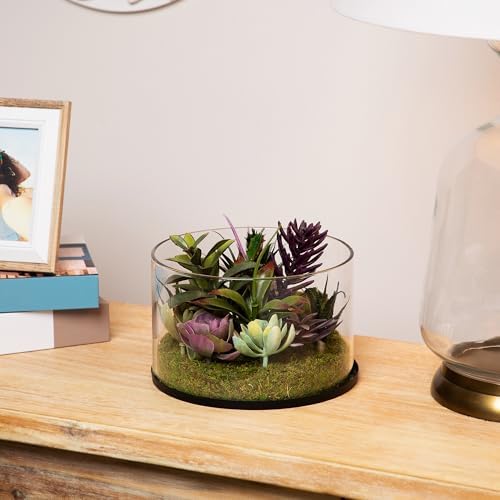 Northlight Artificial Mixed Succulent in 8 Round Glass Jar Green