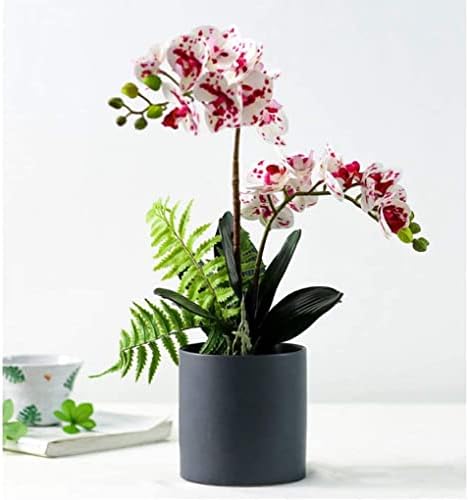 Lifelike Artificial Phalaenopsis Orchid Arrangement in Pot