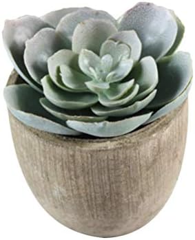 5pcs Artificial Succulent Plants Decorative Faux Plants