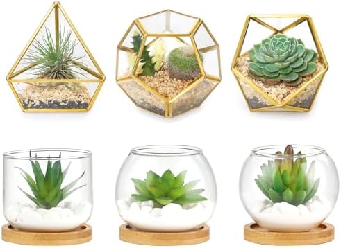 Mkono Artificial Succulent in Clear Glass Pot