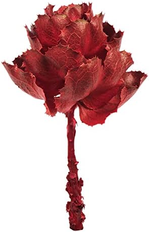 Vickerman 8 Inch Dried Red Queen Flower