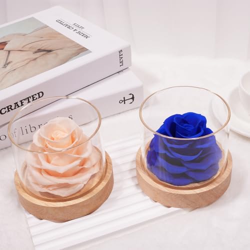 MODCON Home Scent Rose Real Fragrance Lasts 4 Months Gift for Her