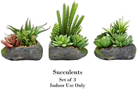 Pure Garden Artificial Succulent Plants 3-Piece Set