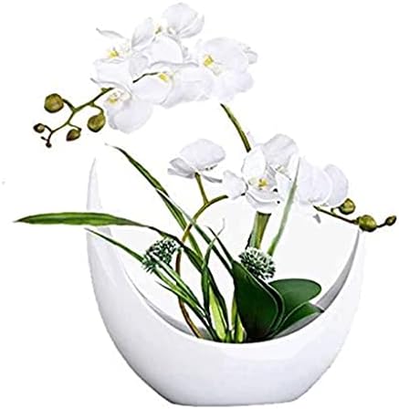 Artificial Phalaenopsis Faux Orchids Realistic Decor