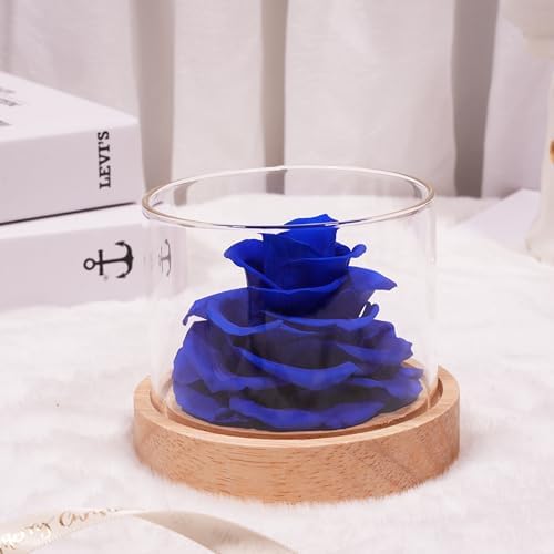 MODCON Real Fragrance Roses Last 4 Months Gift for Women
