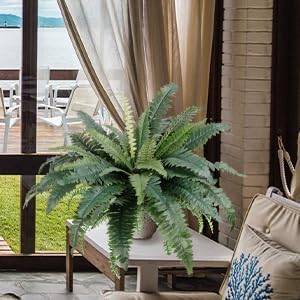 TOCHGREEN Artificial Ferns 2pcs Outdoor Decor 30 Diameter