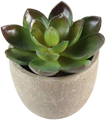 5pcs Artificial Succulent Plants Decorative Faux Plants