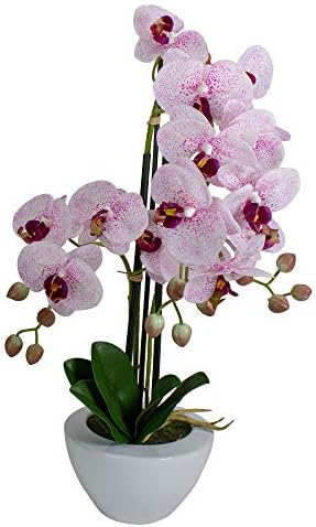 Northlight Artificial Orchid Plant in White Pot 21 Inch Pink