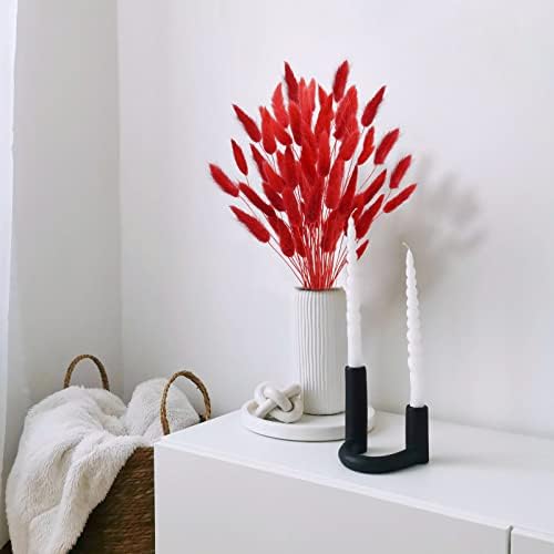 Uieke 17 Inch Natural Red Bunny Tails Dried Flowers 240 Pcs