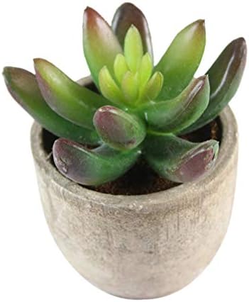 5pcs Artificial Succulent Plants Decorative Faux Plants