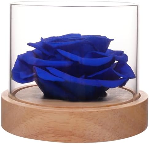 MODCON Real Fragrance Roses Last 4 Months Gift for Women