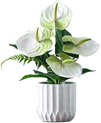 Artificial Flowers Set with Realistic Petals and Elegant Vase