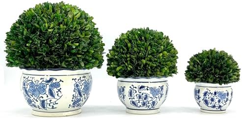 Galt International 7 Inch Preserved Boxwood Ball in Blue White Pot Planter