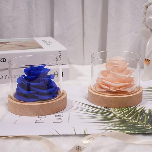 MODCON Home Scent Rose Real Fragrance Lasts 4 Months Gift for Her